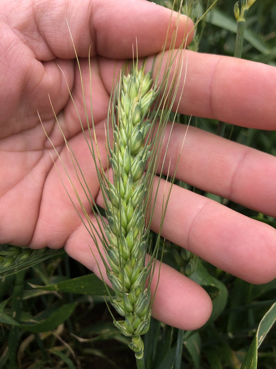 John Stevenson tweet media