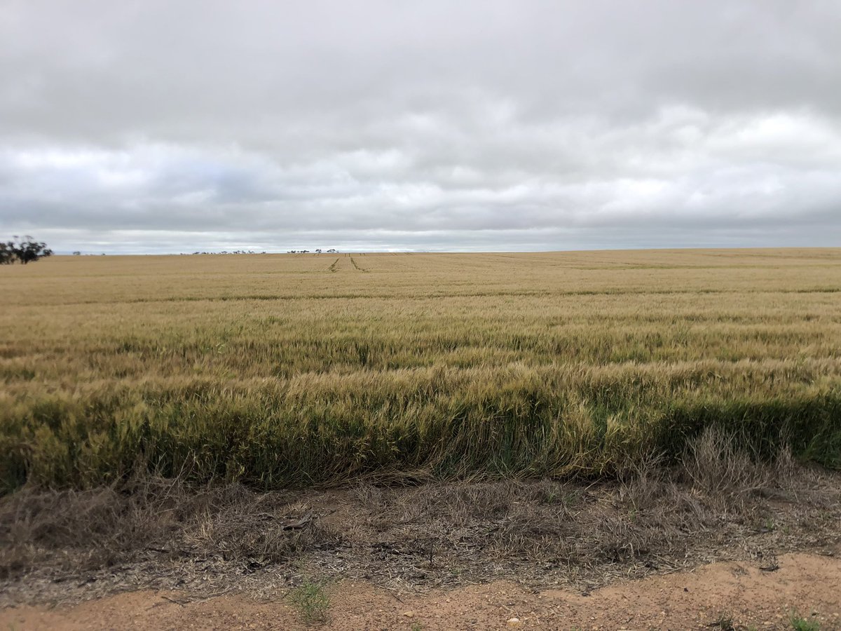 John Stevenson tweet media