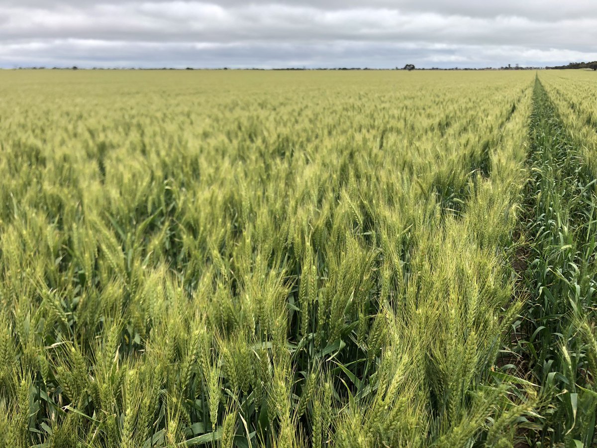 John Stevenson tweet media