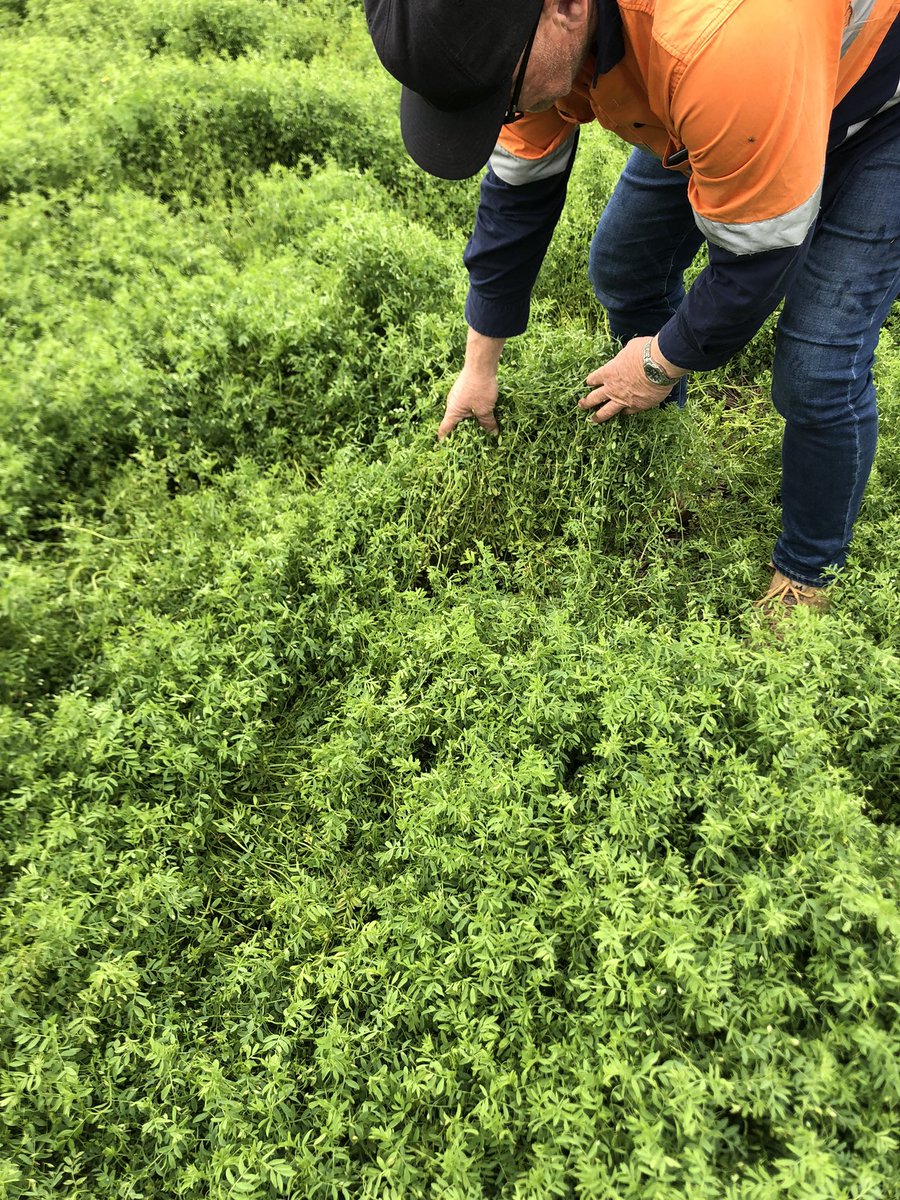 John Stevenson tweet media