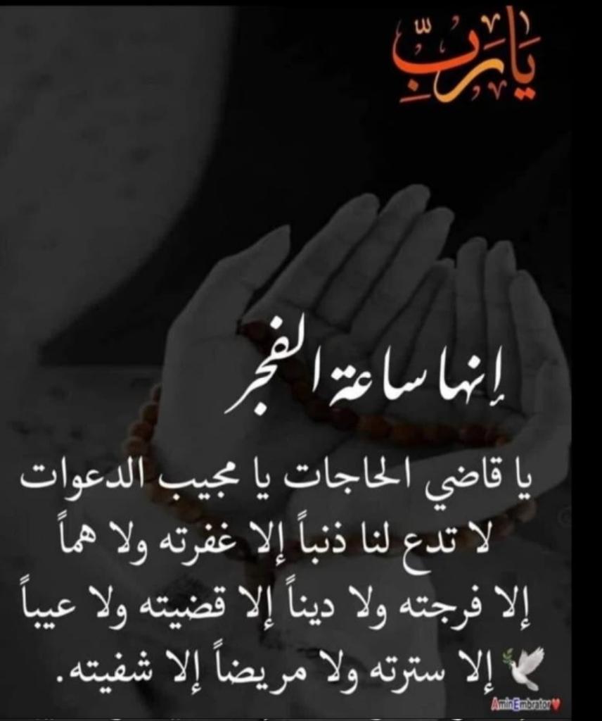 شيخه tweet media