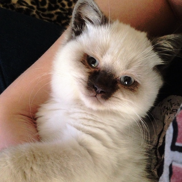 smilefilth's tweet photo. Throw back to when my baby was a baby, little boy-ah. https://t.co/V3k89fwLan