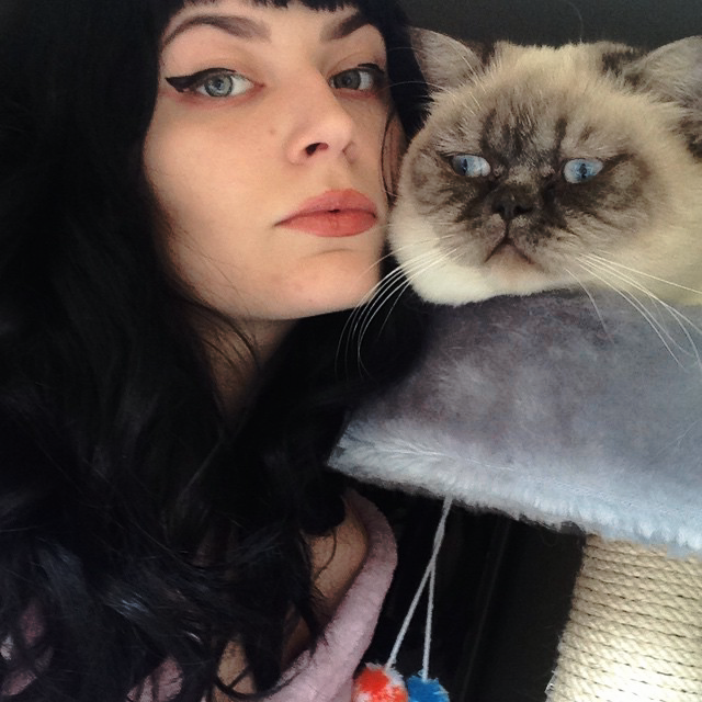 smilefilth's tweet photo. My cat is great. https://t.co/8yneEjoCfS