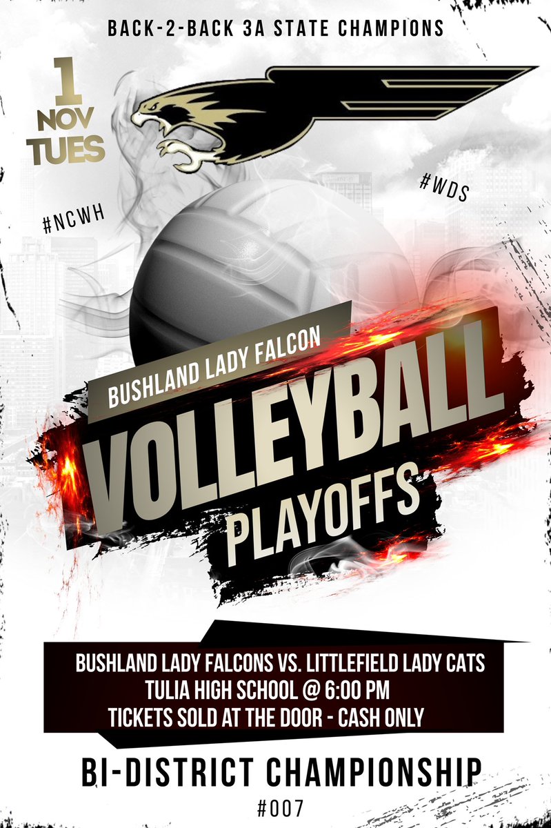 BushlandVolleyball tweet media