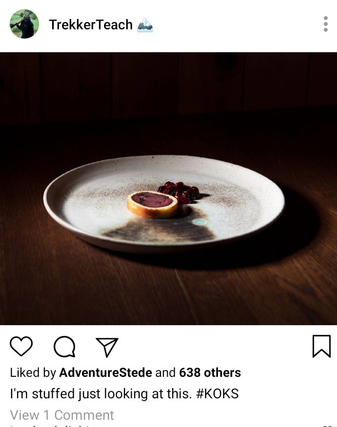 Ed's IG. Picture of a fancy plate of food, sparse serving. Caption reads "I'm stuffed just looking at this. #KOKS