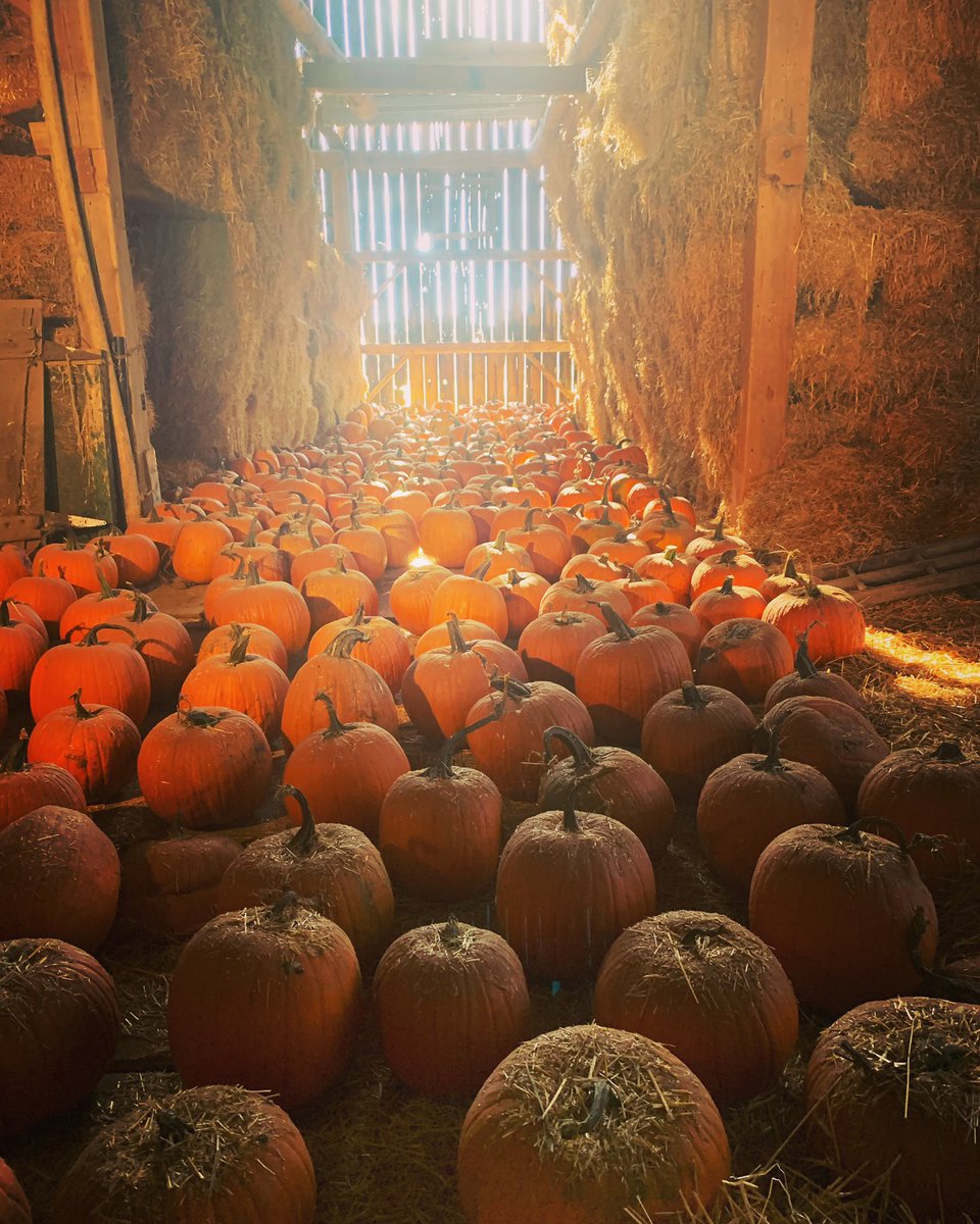 Jill Parry tweet media