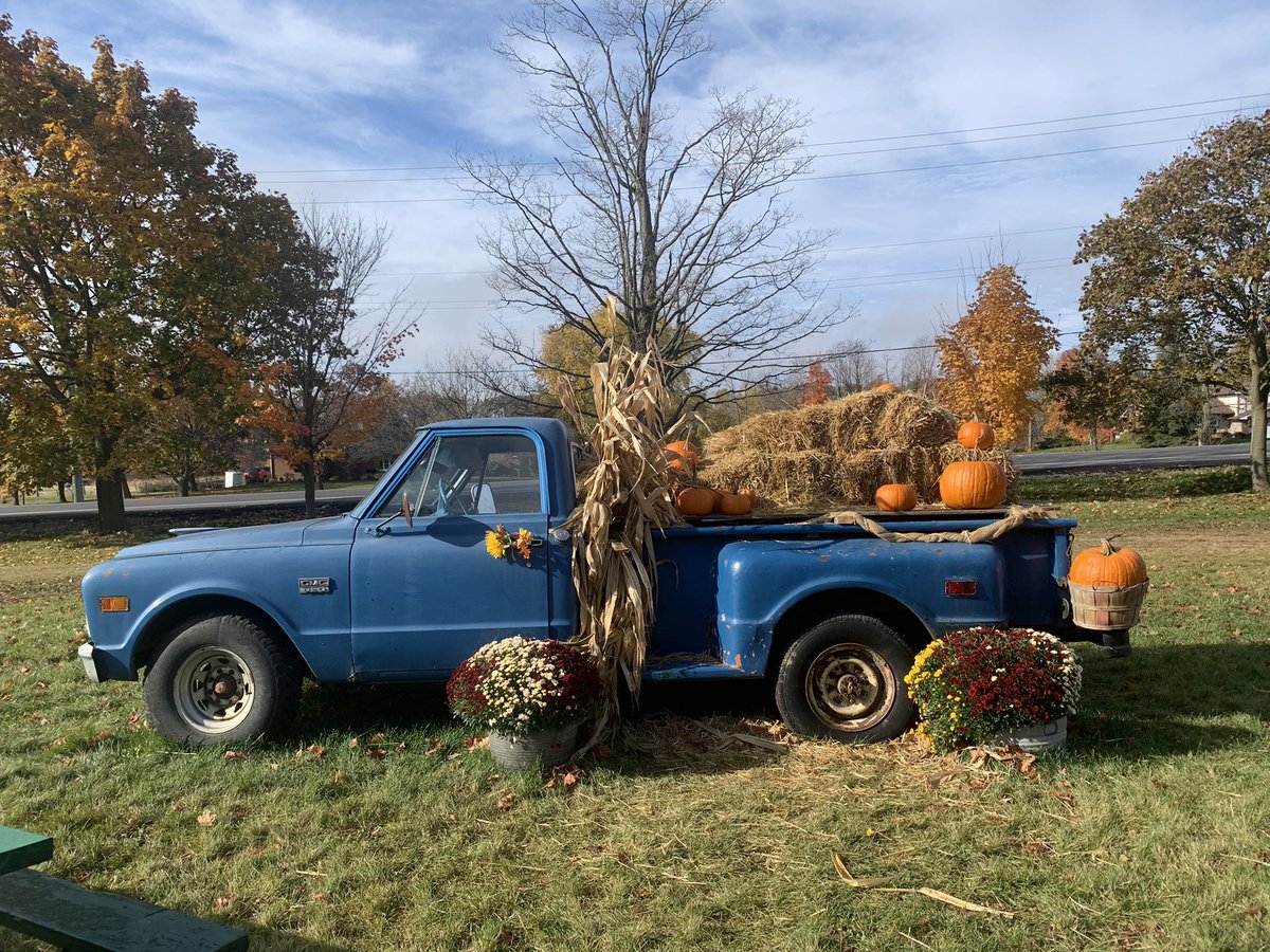 Jill Parry tweet media