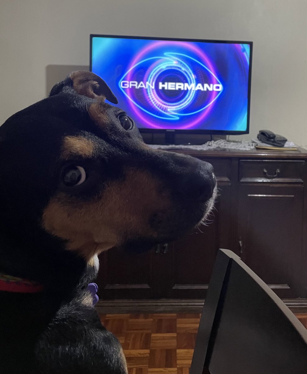 Yo viendo gran hermano en época de parciales: 

#GranHermano #GH2022