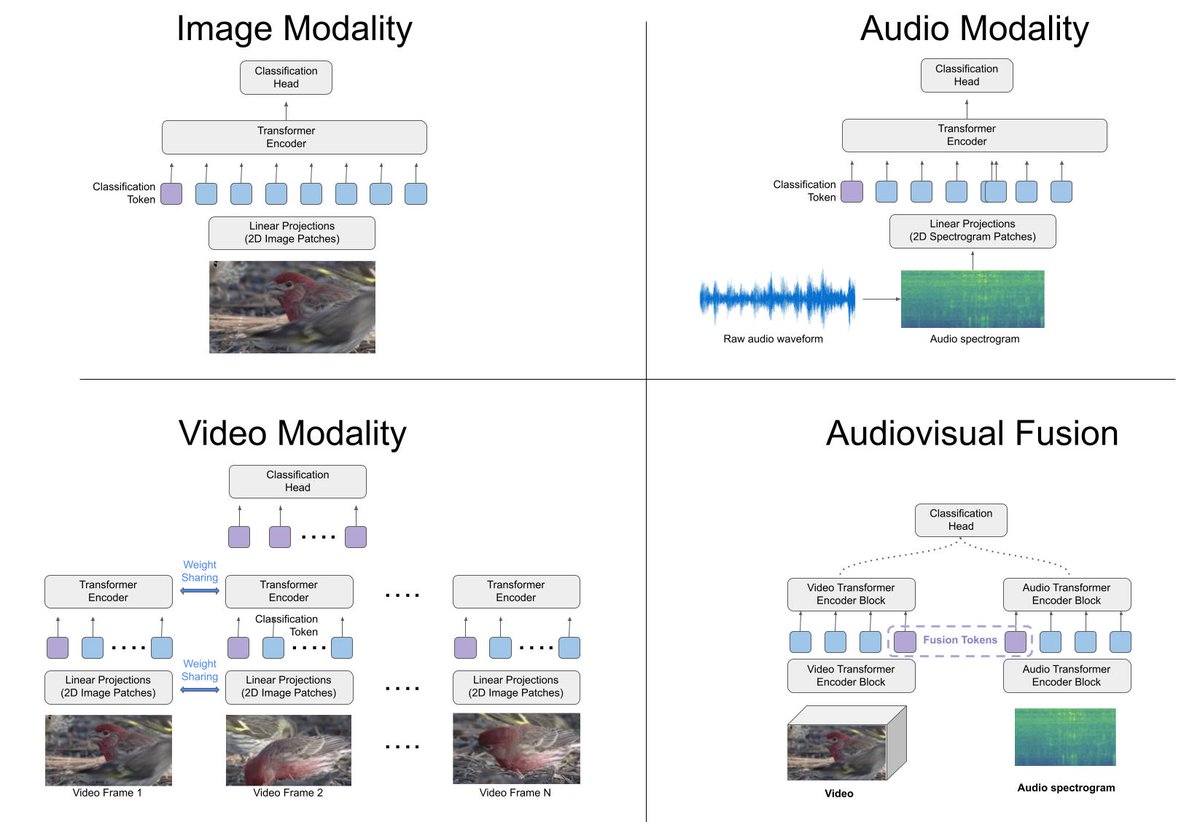 Grant Van Horn tweet media