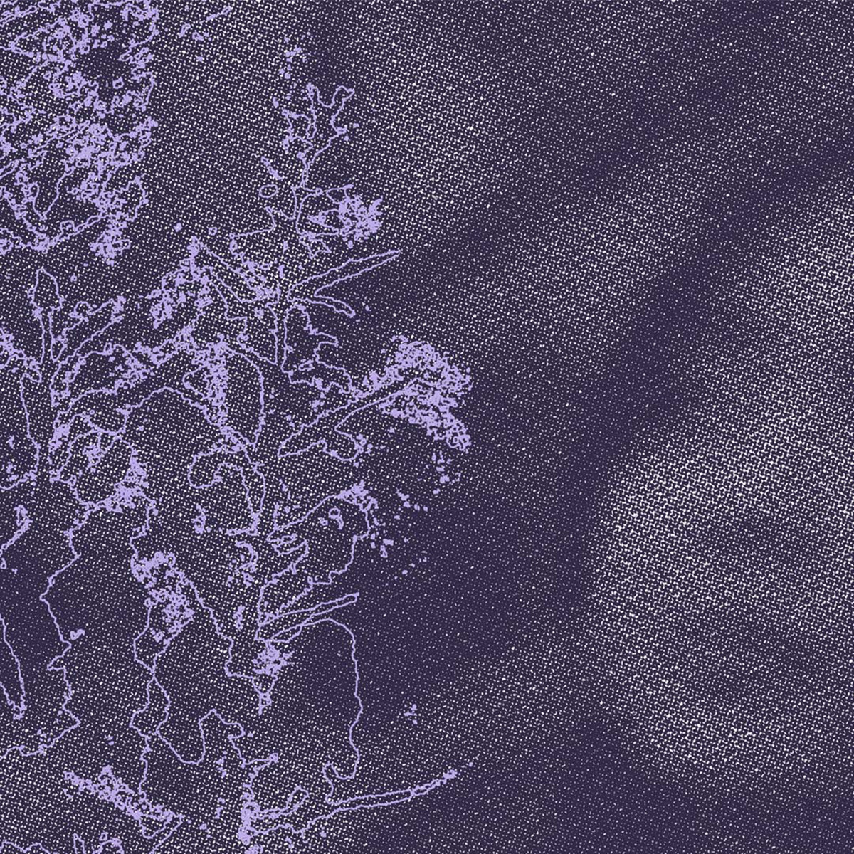 ShoegazeCo's tweet photo. 1. Now Playing On The Shoegaze Collective Radio Show On DKFM: TSC SHOW: CCXXX - 10/25/22 - Lavndear - "Muram" - 2022. https://t.co/mi1q7psThp