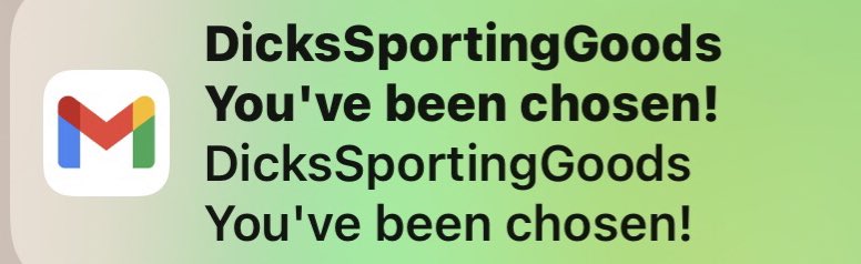Kyle Shire tweet media