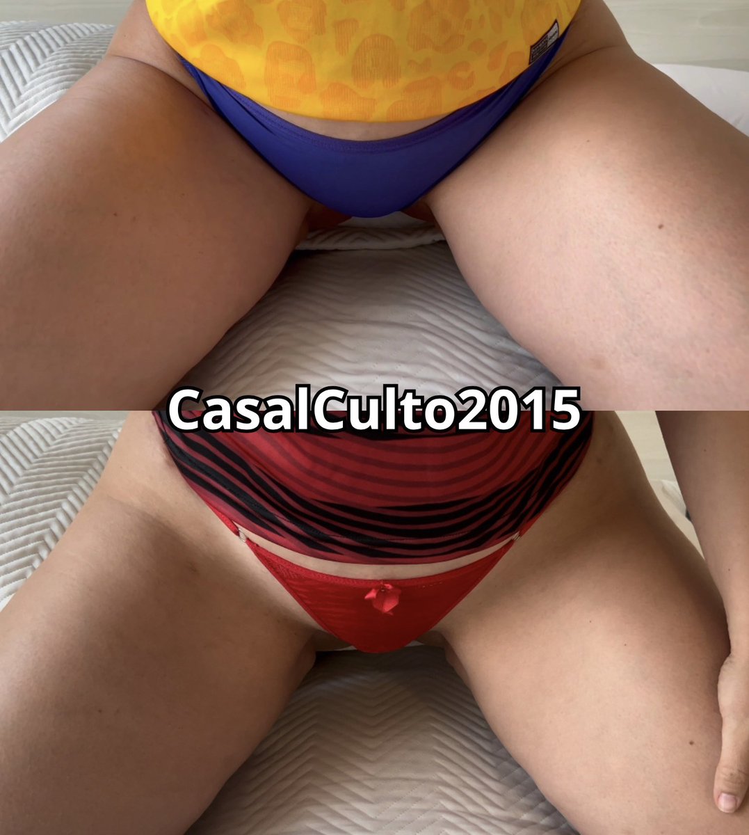 casalculto2015 tweet media