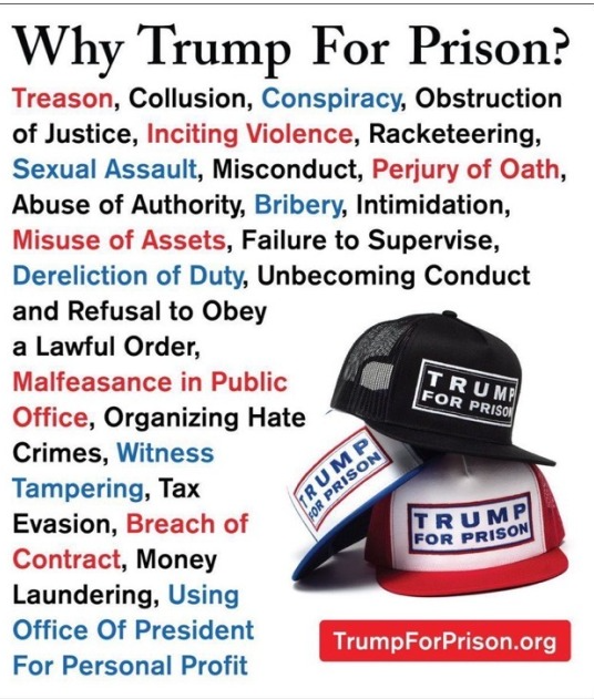 Brown Eyed Susan tweet media