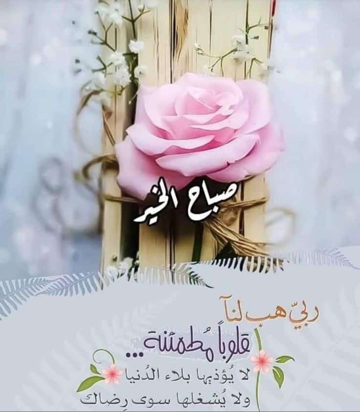 #صباح_الخيرᅠ