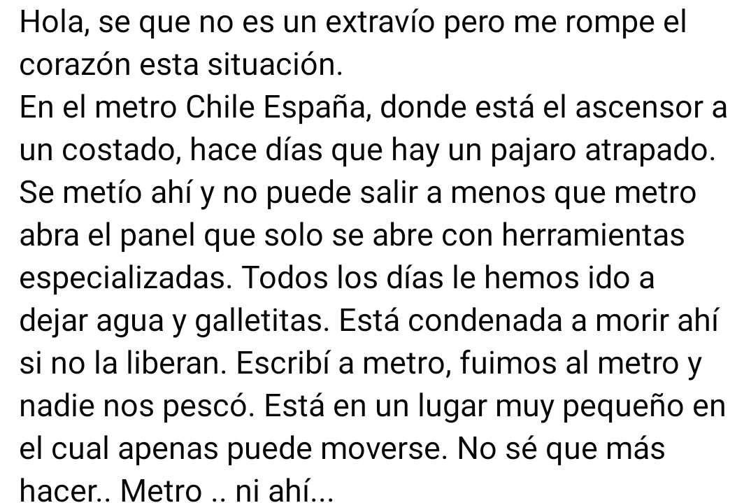 Kristian_Mella's tweet photo. CUANDO LAS NIÑAS TIENEN CONCIENCIA DE LA VIDA DE UN ANIMALITO.

Niña de 11 años me pide viralizar está situación en una de las Estaciones de @metrodesantiago 

@gtmunoz es un pequeño trabajo para ustedes, pero de gran importancia para una niña. https://t.co/3I1Q8MMnrE