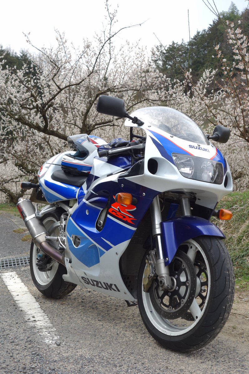 最新入荷】 GSX-R750 GR7DA タンデムバー ienomat.com.br