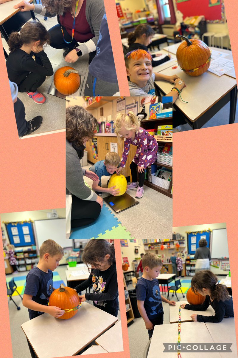MissWarren2019's tweet photo. Soooo many pumpkin wonderings and investigations happening in 1-2 @SHA_NL π§‘ #MathisDoing #HandsOnScience @MissPeddleTLA @NLESDCA @LetsTalkScience https://t.co/bI31BqJ58a