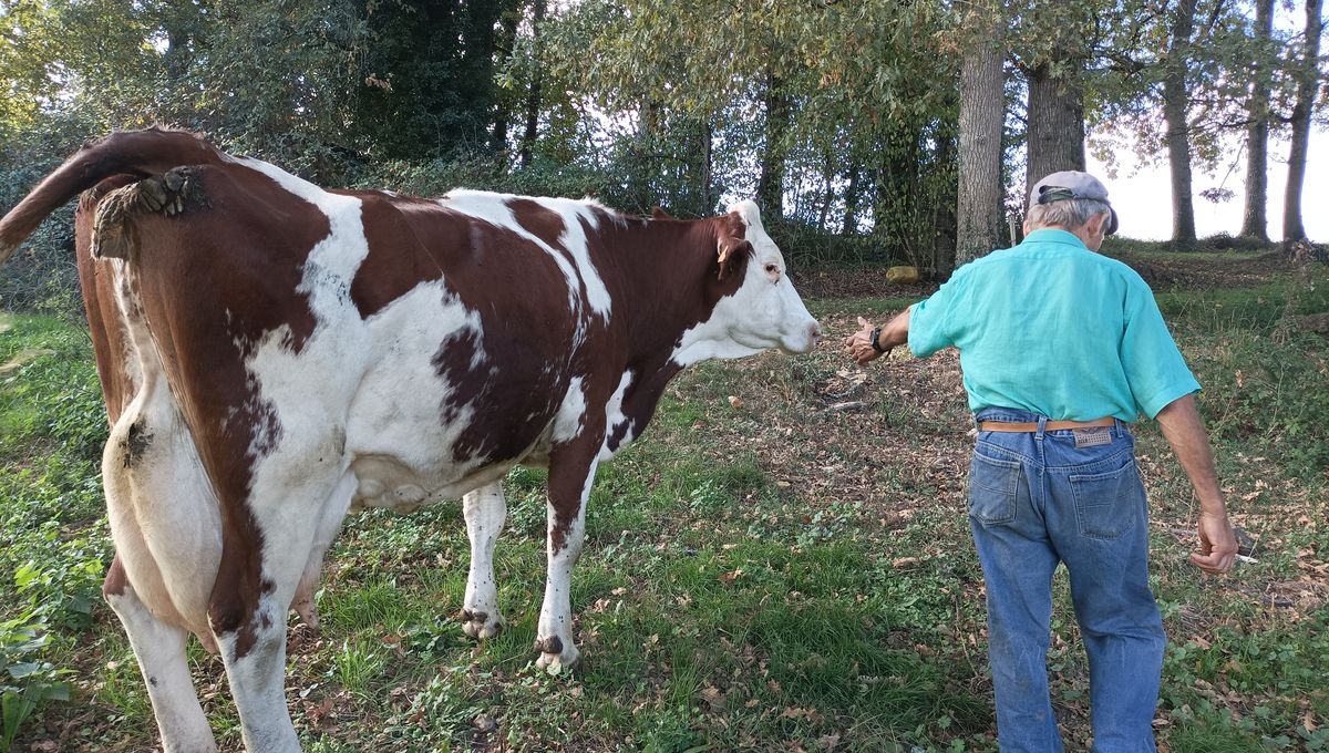 France Bleu Périgord fête ses 40 ans aujourd'hui🎂 Alors ses reporters sont allés à la rencontre de leurs plus fidèles auditrices... Ce sont elles : 

📻francebleu.fr/infos/societe/…
@Bleu_Perigord <a href="/LiseRoosWeil/">Lise Roos-Weil</a>
