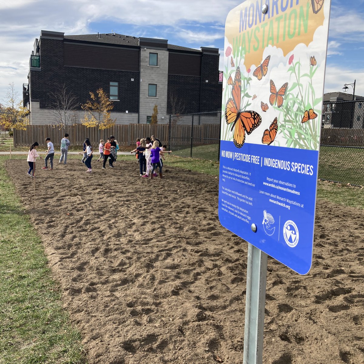 Grade 3 students from <a href="/growrdsb/">Groh PS</a> planted their new Monarch Waystation today. This area is approximately 260 square meters near Blair Creek Drive.
