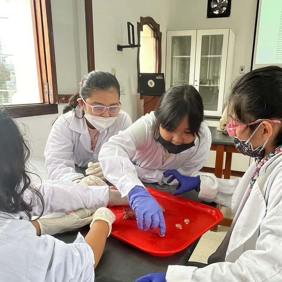 rfas_upch's tweet photo. #RFASWorkshops | Vivimos una divertida mañana en el workshop "Misterios del Cerebro" dirigido por la Dra. Cristina Guerra a nuestras #niñasRFAS 👧🏻. 
Juntas compartimos el juego de las ilusiones ópticas para tratar de entender cómo nuestro cerebro percibe la realidad del mundo 🌎 https://t.co/xbWAGNQzu0