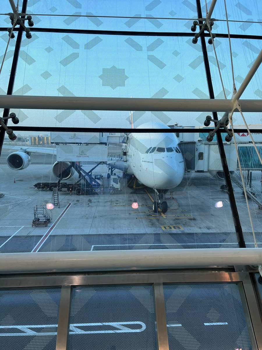 Jo Vertigan tweet media