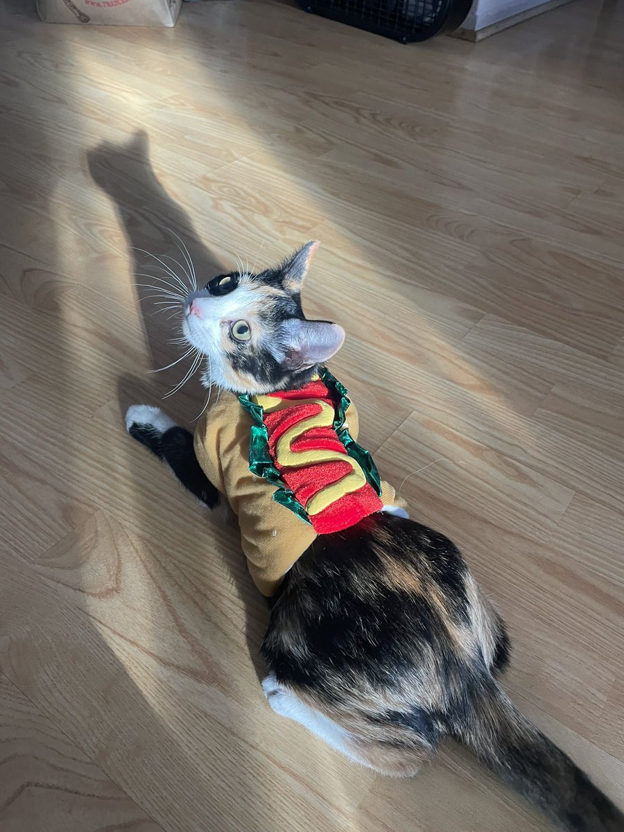 hxredlips's tweet photo. “I love my costume”-Ruby https://t.co/M4QMXtGziy