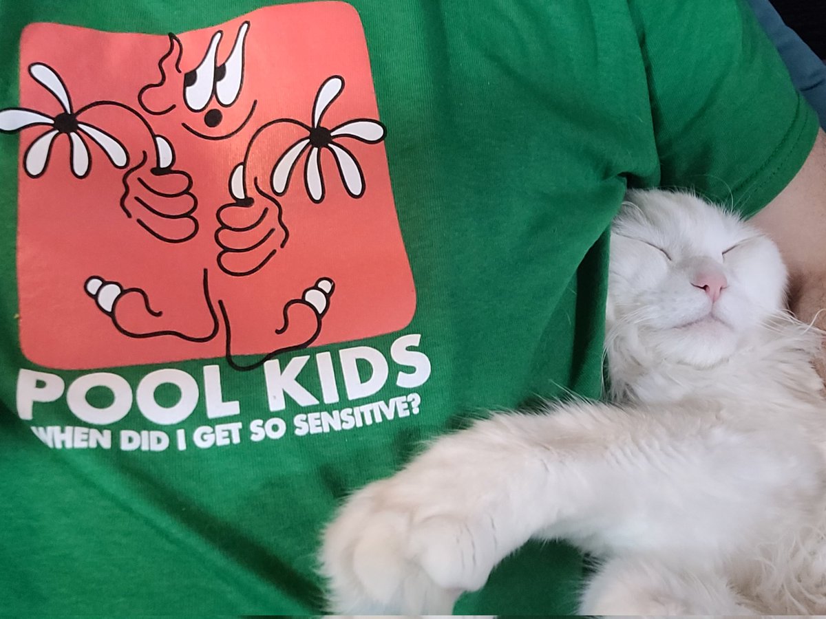 aestheticleper's tweet photo. @poolkidsband just passed out watchin tv https://t.co/26saX4wn0C