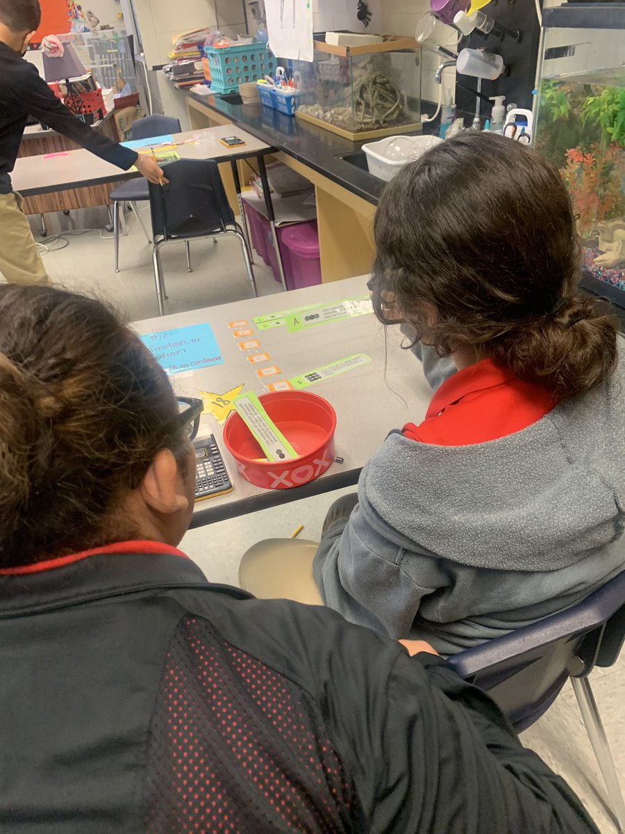 hgomez3931's tweet photo. Reviewing by Stations🤓peer teaching @LMMSPatriots we got this! #AllAboutScience https://t.co/uIUEUiHWlu
