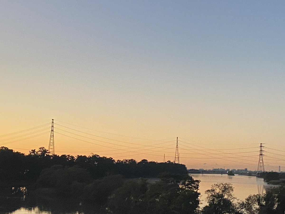 yachiinesuina91's tweet image. 長良川沿いを岐阜回りで愛知県一宮市へ🚚沿道のピラカンサは色付き始めましたがまだ日差しは強いです☀️更に色白になった安井さんのポスター発見👀国会に安井さんがいれば新武闘派三姉妹結成できたのに😢#山本太郎 #れいわ新選組 #安井みさこ #一宮市 #れいわ新選組が日本を救う