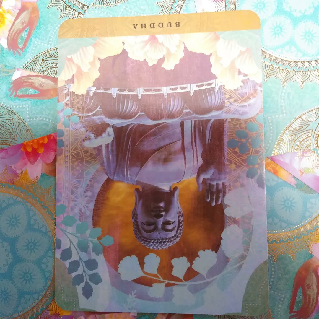 nestled__tarot's tweet photo. 〜今日のメッセージ〜
 
貴方の足下に在るモノ…
ちゃんと見えていますか｡｡｡
ソコに｢良し･悪し｣では計れない
大切なモノが在ります💖

 #ayogicpath
 #ヨギックパス
 #癒しの時間 
 #今日のメッセージ 
 #魂   #永遠    #本質   #物質的な価値観 
 #瞑想   #大切な https://t.co/2Fu76vgYWv