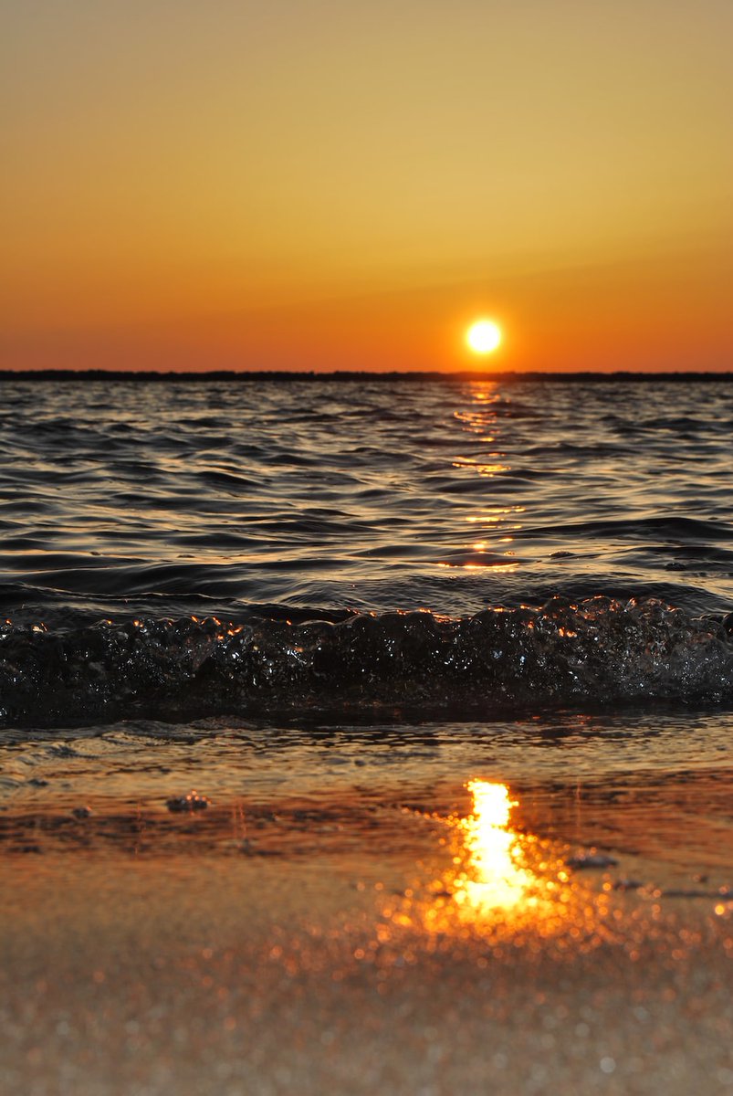 AlltheDeals100's tweet photo. 🌄 Good Morning My Dear Friends 🌄
Have a Wonderful Day! 🙏🥰🦋🌼☕ https://t.co/XSzwG4i0Qz
