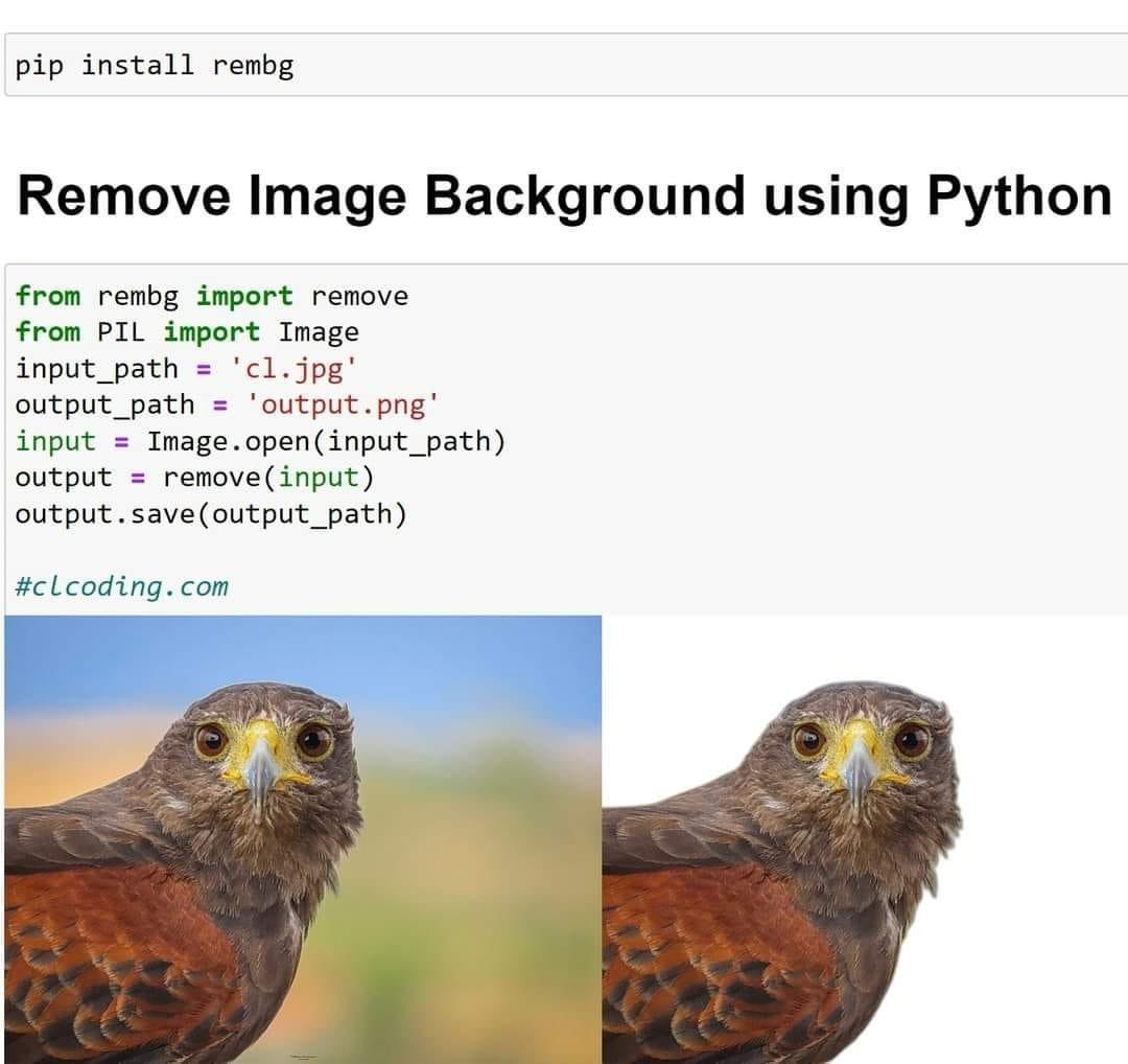 leslysandra's tweet photo. #python https://t.co/ubgpr4UA9u