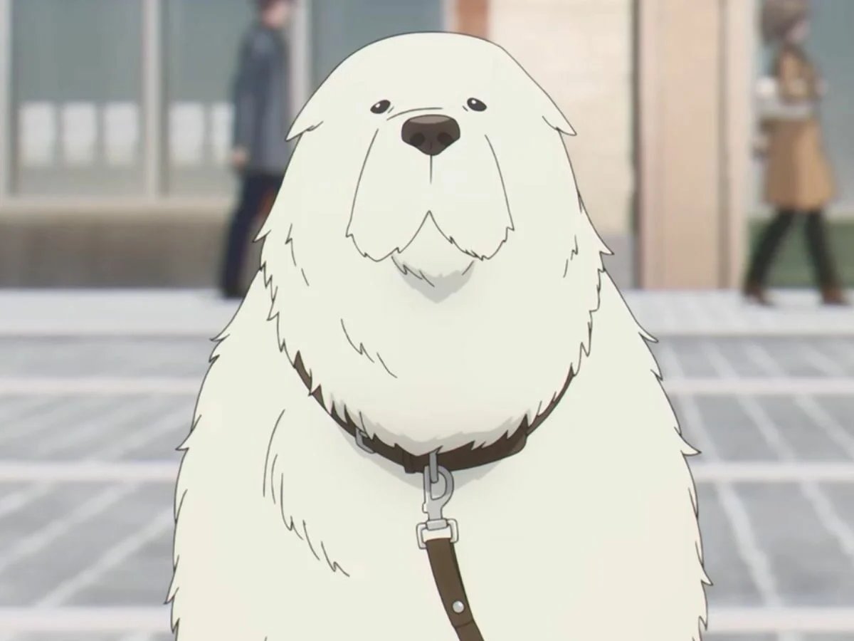 lucas_mp3's tweet image. you&apos;re tryna tell me bond from spy x family and the bat devil from chainsaw man have the same voice actor????