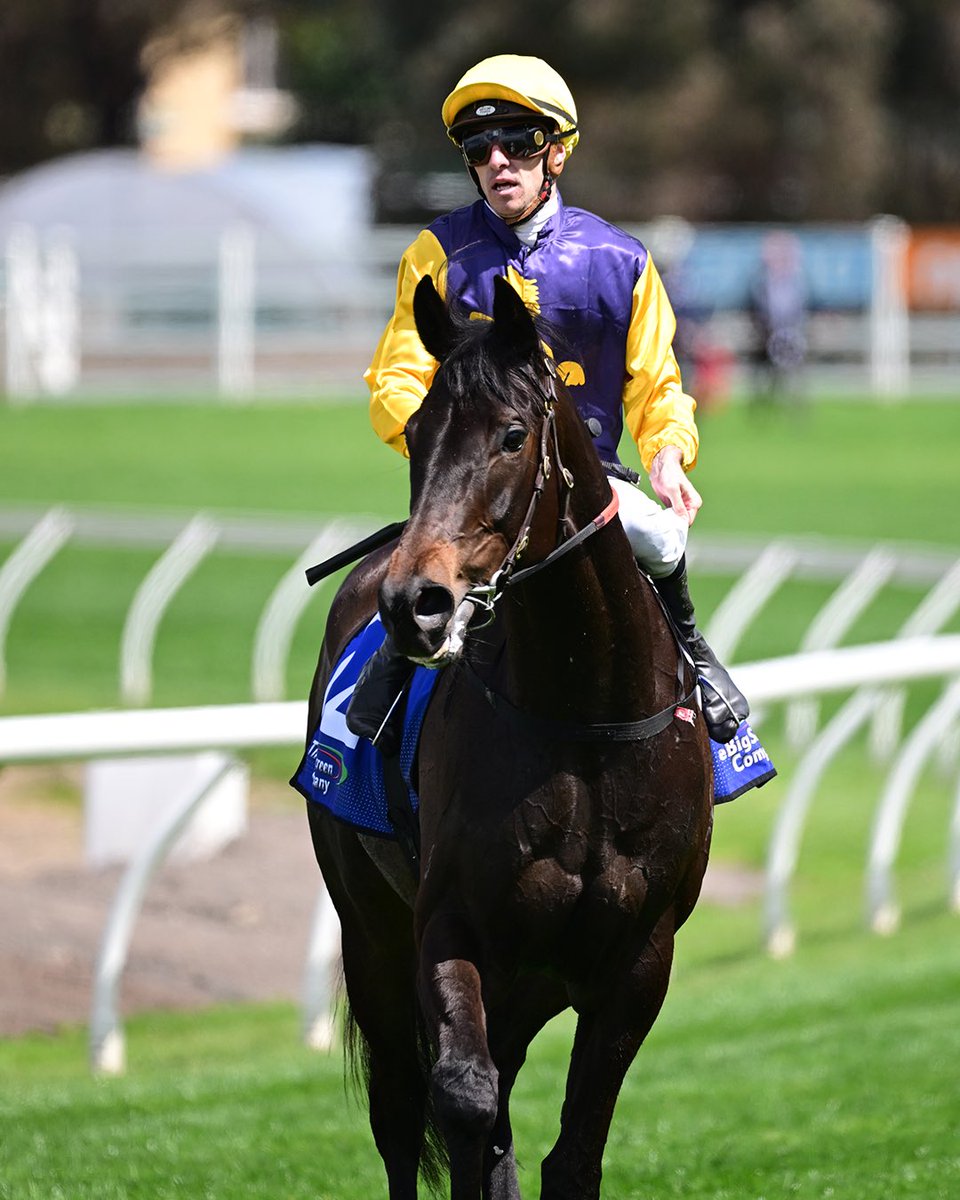 Cardinal Gem has gained a start in the Golden Eagle after the scratching of Brigantine.