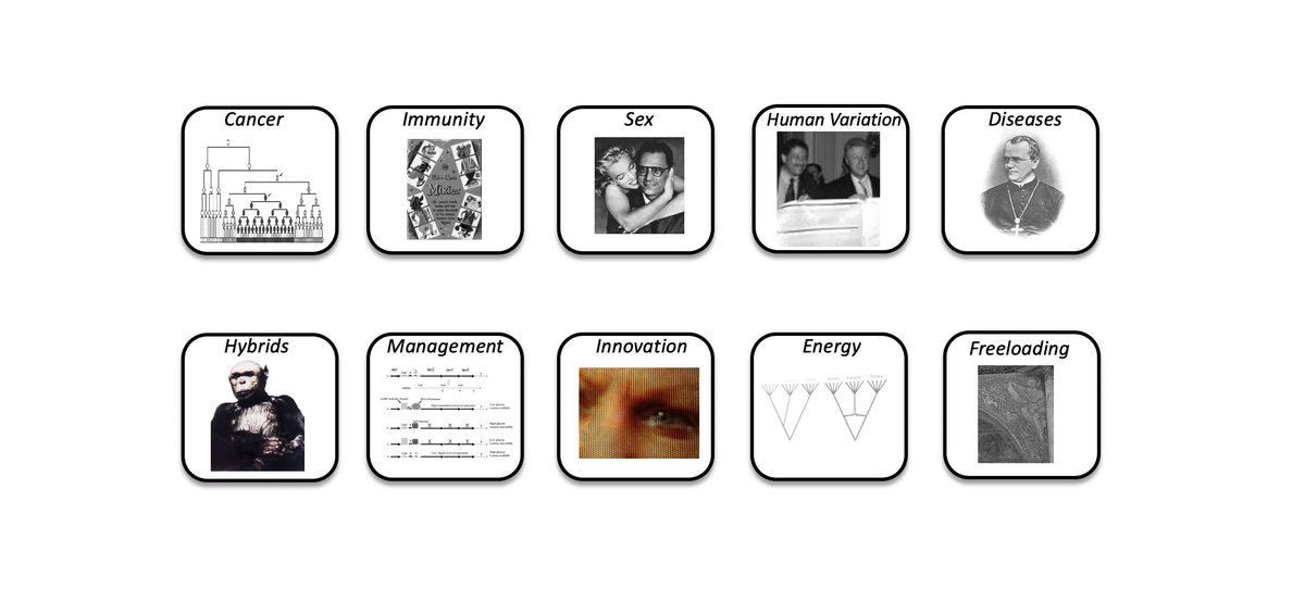 As with most things in biology, evolution is the best way to understand the GENOME: how it came to be the way it is and how it functions. Here are my slides from teaching a super fun course on Genome Evolution. Feel free to use and circulate: 525 slides! 
tinyurl.com/yckvnww4