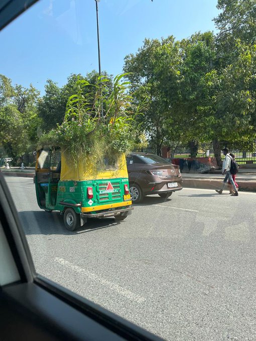 therooosternews's tweet photo. #Delhi, Mahendra Kumar, an enterprising auto driver, has grown a mini garden on the roof of his auto to protect himself & passengers from the heat creating a mini AC effect. #climateaction #coolauto #TheRoosterNews https://t.co/59YESNrdud