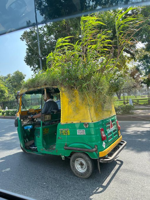 therooosternews's tweet photo. #Delhi, Mahendra Kumar, an enterprising auto driver, has grown a mini garden on the roof of his auto to protect himself & passengers from the heat creating a mini AC effect. #climateaction #coolauto #TheRoosterNews https://t.co/59YESNrdud