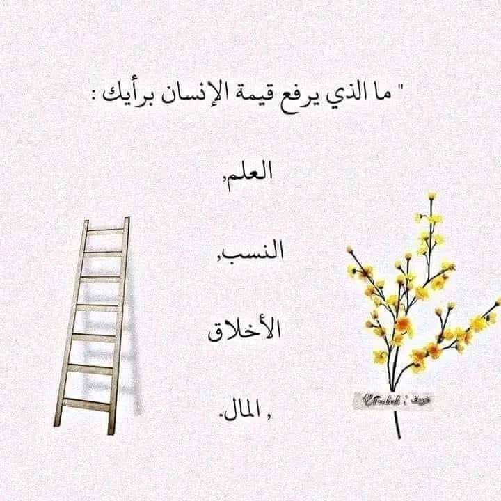 Arabiclit's tweet photo. https://t.co/2VCo1rV3TR