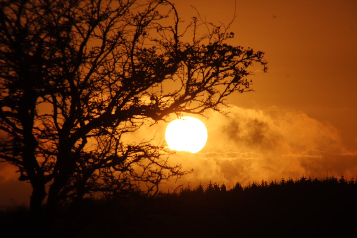Sunrise and a fairy tree this morning <a href="/barrabest/">Barra Best</a> <a href="/WeatherCee/">Cecilia Daly</a> <a href="/angie_weather/">angie phillips</a> <a href="/Louise_utv/">Louise Small</a> <a href="/jemma_dolan/">Jemma Dolan</a> <a href="/Bigpaddy2/">Gerry Dolan</a> <a href="/deric_tv/">Deric</a> <a href="/artonatin/">Art On A Tin</a> <a href="/BelfastHourNI/">#BelfastHour</a> <a href="/tomgilroy33/">Tom Gilroy</a> <a href="/ECMFCM/">Enniskillen Castle: Fermanagh County Museum</a> <a href="/WAWHour/">#WAWHour</a> <a href="/wawguide/">WAW Guide</a> <a href="/FermanaghW/">Fermanagh Weather</a> <a href="/geoff_maskell/">Geoff Maskell</a> <a href="/mcaleese_anne/">YpamAnnie</a> <a href="/gildernewm/">Michelle Gildernew</a>