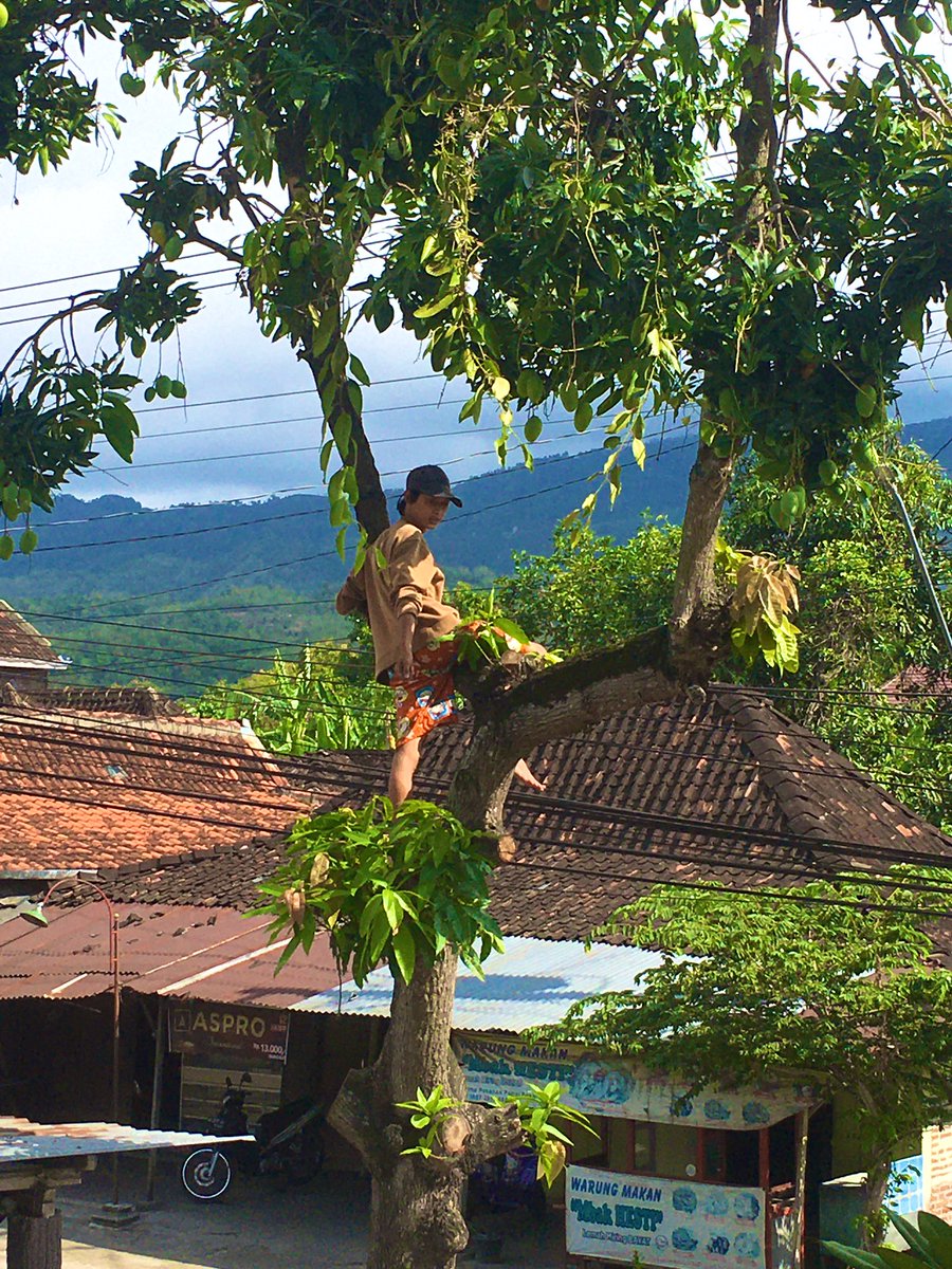 EBONI WATCH tweet media