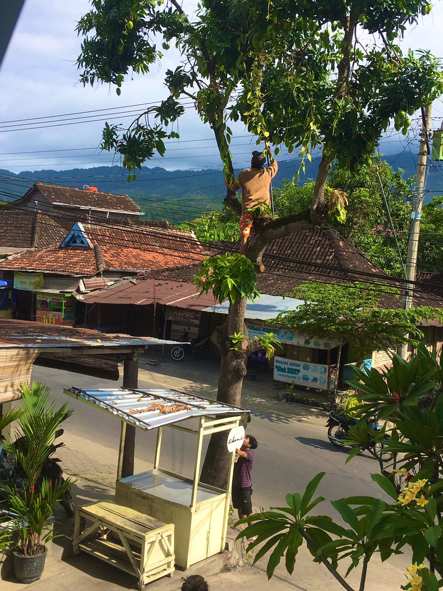 EBONI WATCH tweet media