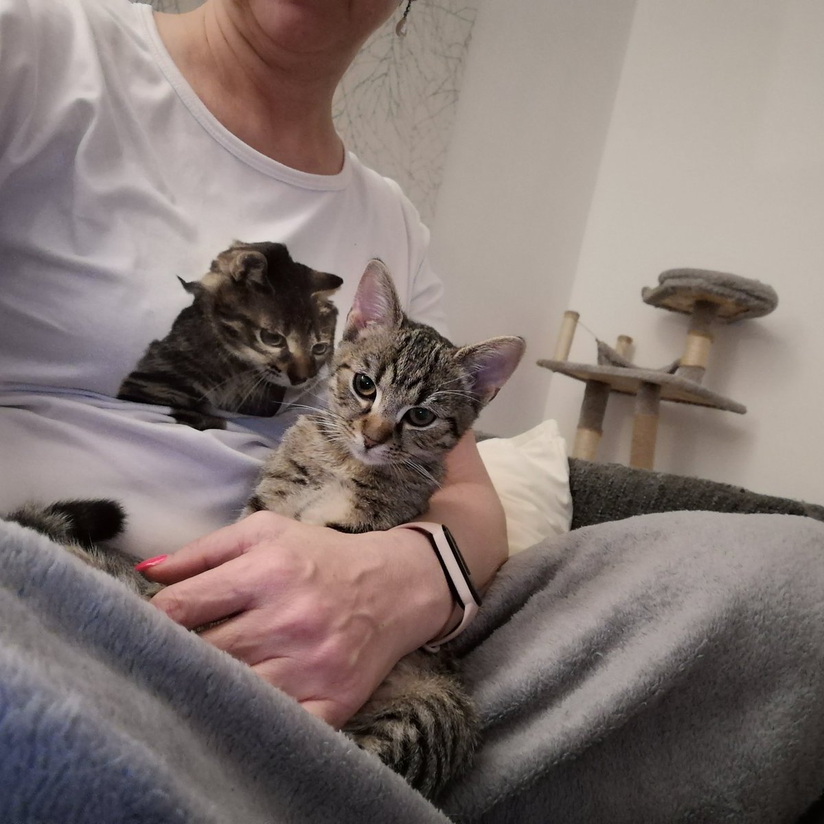 Blanka64998693's tweet photo. Na aliexpresu si koupíš tričko a za rok si pořídíš přesně stejné kotě ❤️😍
#pepperpots https://t.co/TgViAbN74I