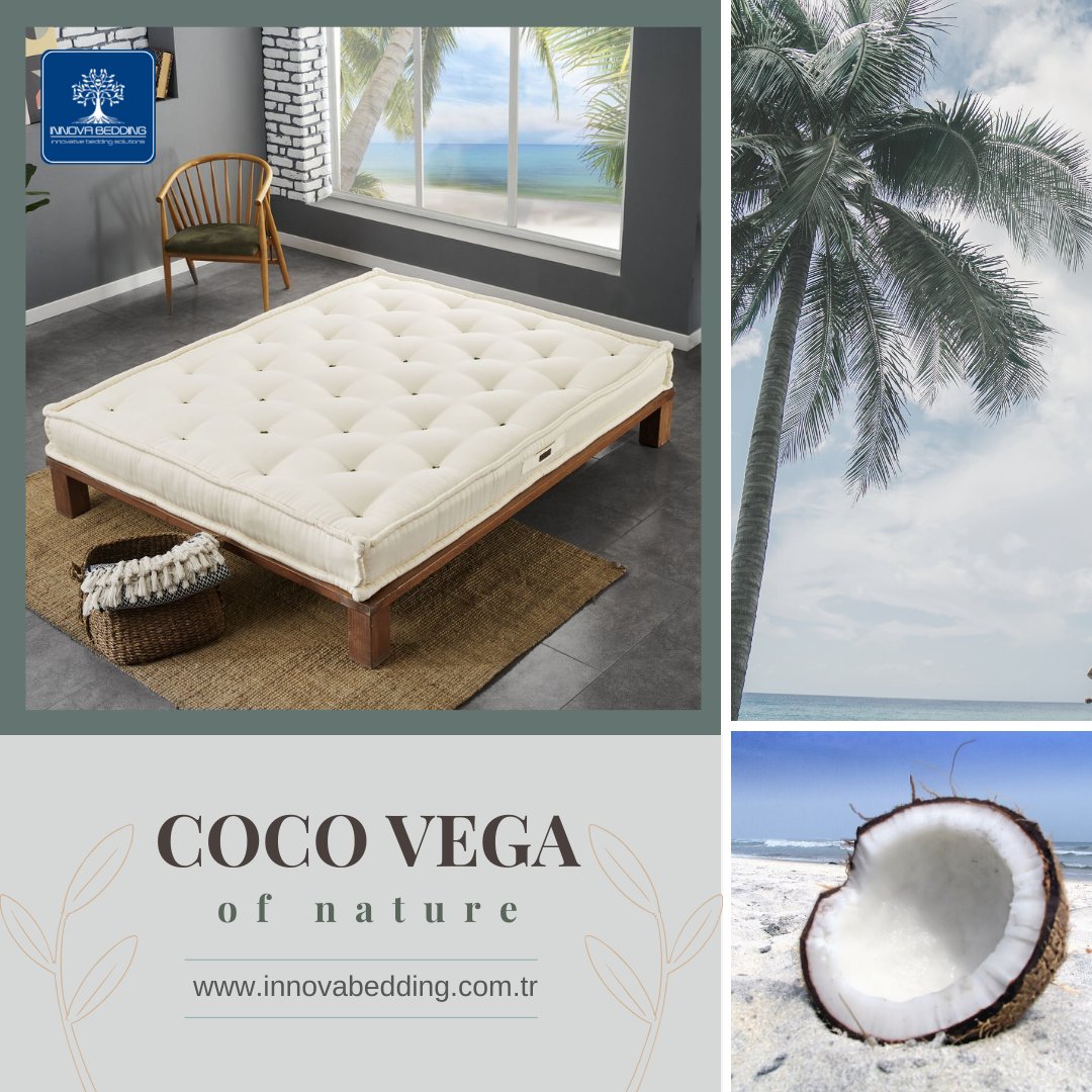 COCO VEGA OF NATURE

🍀It is designed with 100% organic fibers that do not harm human health and nature.

innovabedding.com.tr/kategori/dogal…

#coco #hindistancevizilifi #lateks #doğalyatak #yatak #natural #naturalbedding #naturalmattress #innovabedding #dogaluyku #omurgasağlığı
@onderhoni