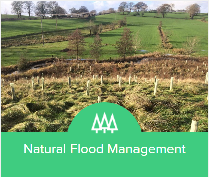Check out The Flood Hub here for more information on #MoorlandRestoration and a link to our resource🌱💧➡️: thefloodhub.co.uk/nfm/#moorland-… @moorsforfuture @peatlandsociety @PeatlandACTION @BES_Peat @IUCNpeat #peat #peatlands #moorland #environment