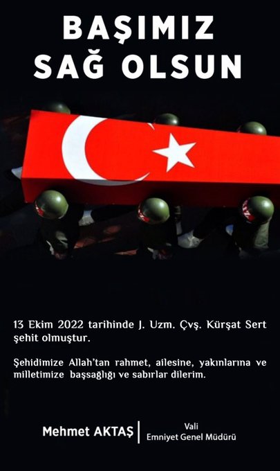 Resim