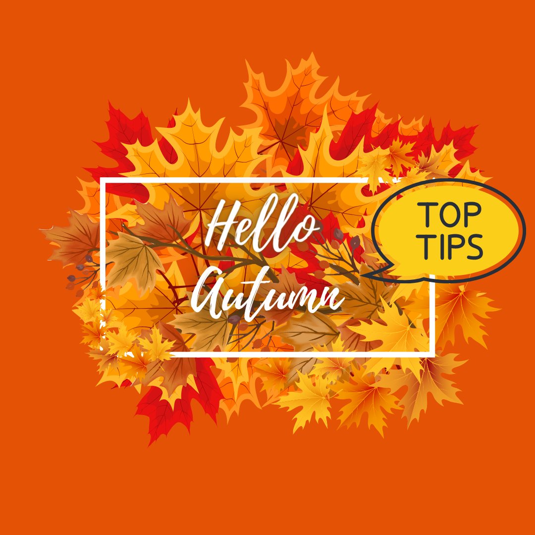 homestartbutser's tweet photo. We love these Autumn ideas when you are out and about with your children from @homestartuk❤️ 🍂
🍂 Recreate the sounds of Autumn
🍂 Hunt for Fallen leaves
🍂 Leaf Creativity
Share your ideas below ⬇️
#autumnideas #HomeStartTipsForParents #Parenting #EarlyYears https://t.co/i8wJOnHWeC