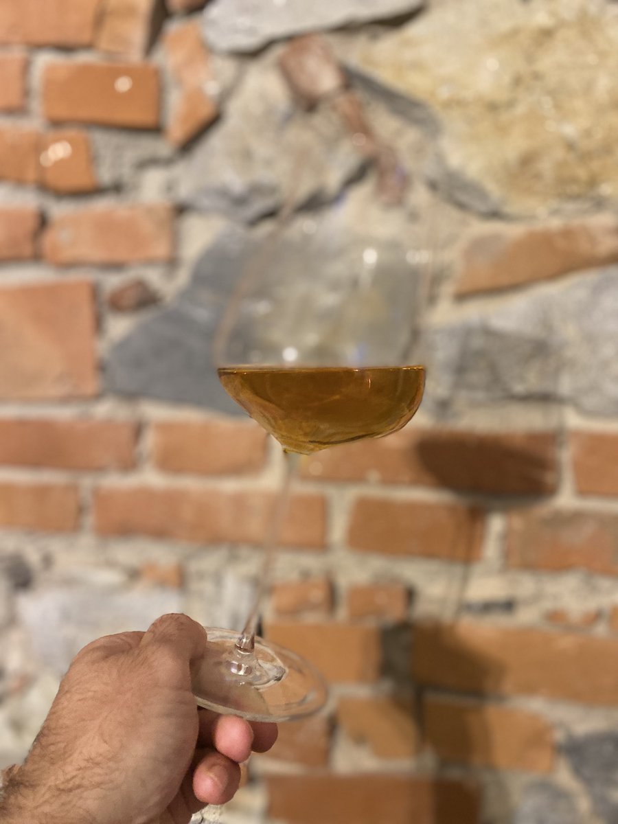 Winetasting..Trebbiano 2020 #home #wine #winetasting