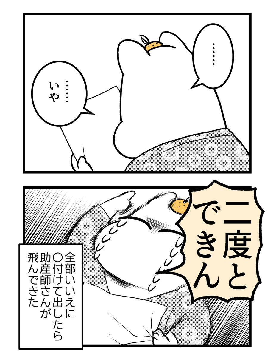 【第四章】つわりが怖くて2人目に踏み切れない話～出産編～(19/n)

#漫画が読めるハッシュタグ #創作漫画 #出産 