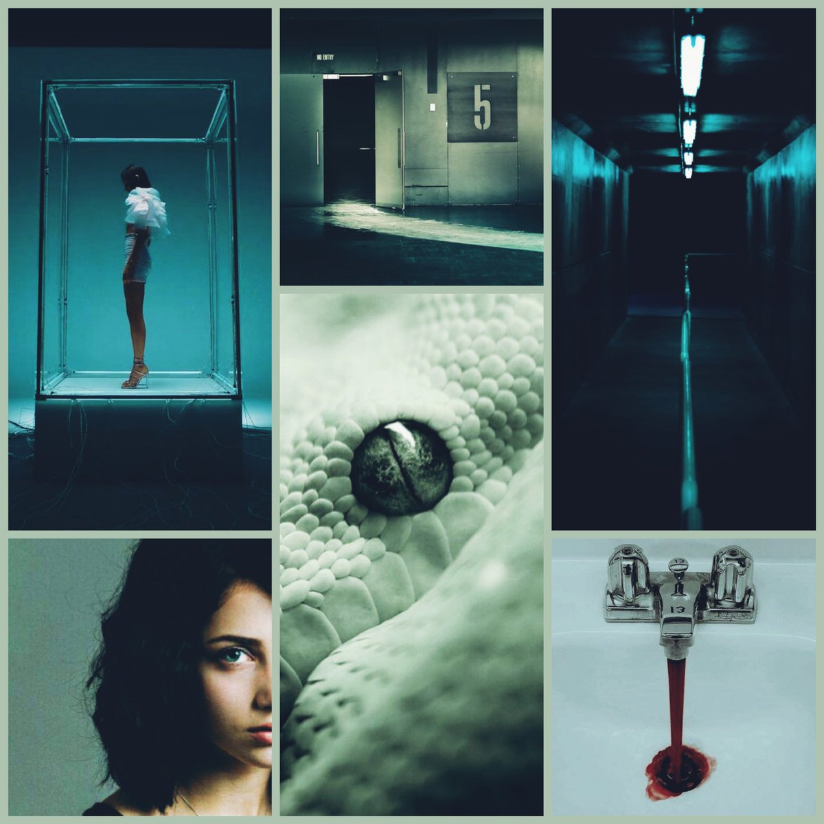 arlenrenwrites's tweet photo. time to show off my aesthetics for #wipvibecheck ✨
this is for my SCP-inspired, blood-soaked adult urban fantasy, #AberrantWIP💀
featuring a bisexual MC and love triangle 💖💜💙 a cast of queer characters 🏳️🌈🏳️⚧️✨ and a whole host of creepy monsters 💀 (incl. a sassy snakeman)🐍 https://t.co/0SFGb5adAk