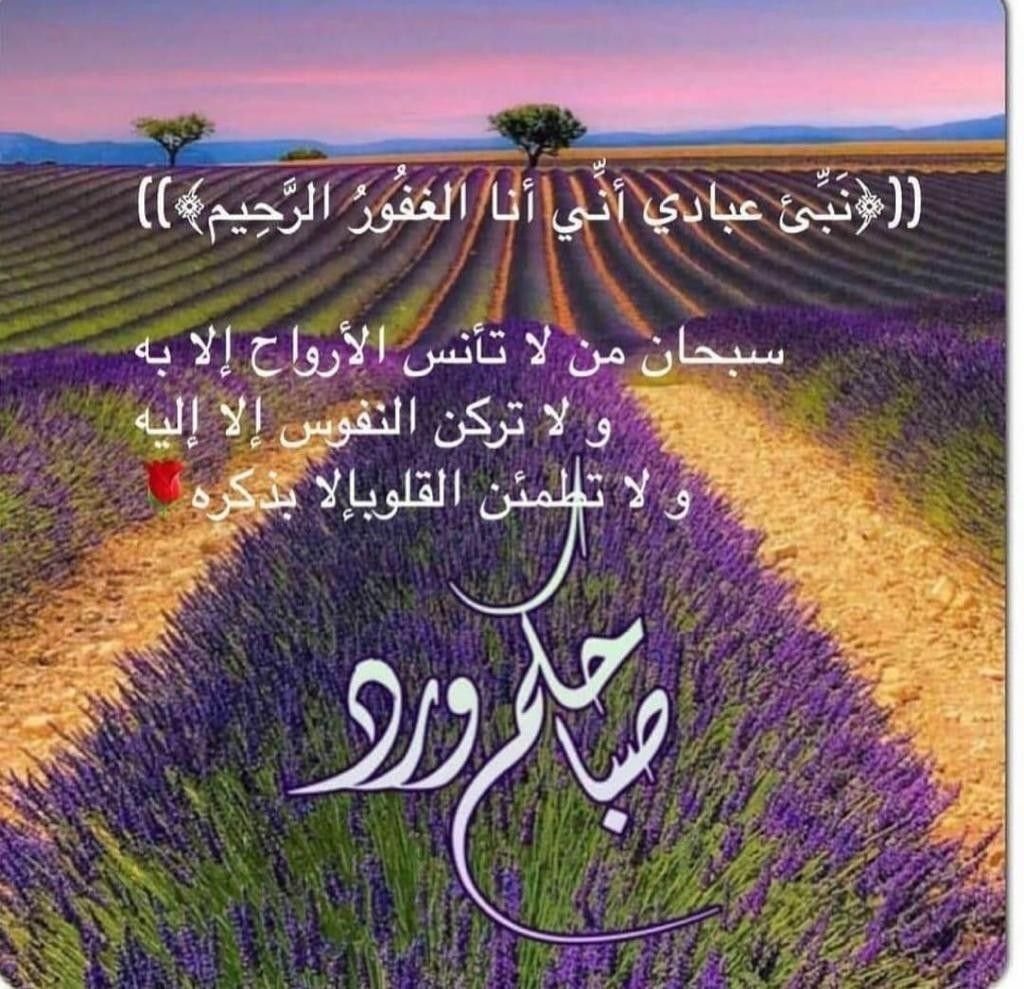 SisAssia tweet picture